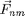 $\vec{F}_{nm}$
